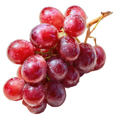 A cluster of ripe, red grapes on the vine, glistening with a dewy sheen, isolated on a black background