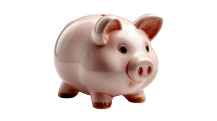 Piggy Bank: A charming ceramic piggy bank, radiating the spirit of saving and financial prudence. With a cheerful demeanor, it embodies the essence of fiscal responsibility