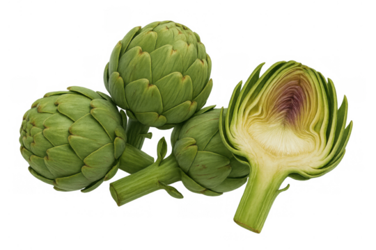Fresh green artichokes showing one cut in half revealing internal structure on transparent background