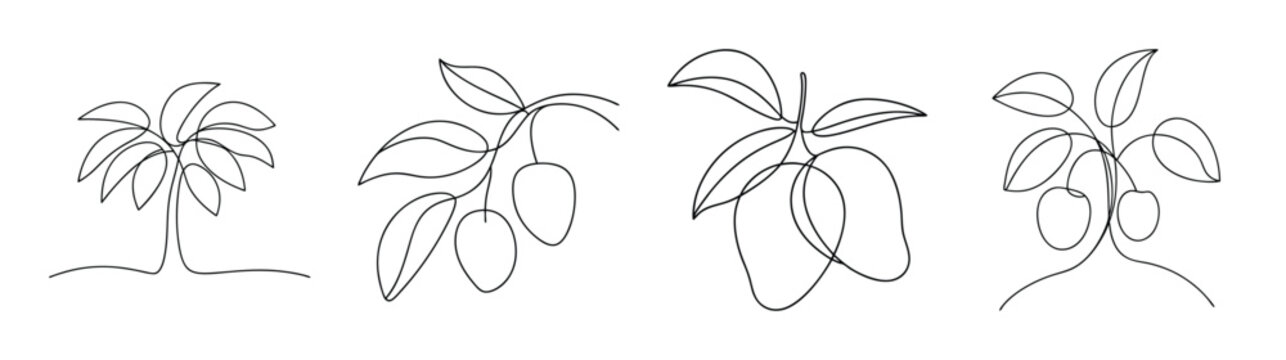 Ornate line art drawing of mango tree branches with detailed leaves and subtle fruit forms