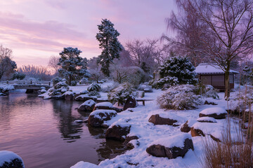 Snow covered Japanese garden at sunset in winter
