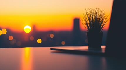 Small potted plant silhouetted against a vibrant orange and yellow sunset over a blurred cityscape