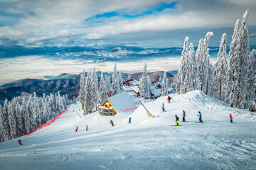 Fototapety na wymiar - Fototapeta24.pl