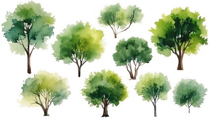 Watercolor painting of various green trees isolated on white background, showcasing different shapes and sizes for nature-inspired designs