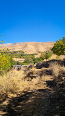 Autumn hillside trail with dry soil, scattered trees, and wooden fence under clear sky — a quiet path through seasonal textures and mountain calm.  
📍Hazarani, Hawraman 