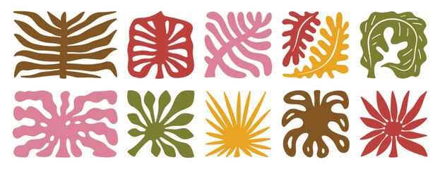 palm tree leaves boho silhouette nature set. groovy summer palm leaf geometric poster. summer abstract square tropical icons freehand retro style