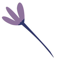 Vector illustration of beautiful romantic purple flower collection. Perfect for floral bouquets, flower composition, floral frame, floral border