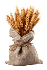 Wheat bundle harvest field natural product rustic isolated on transparent background