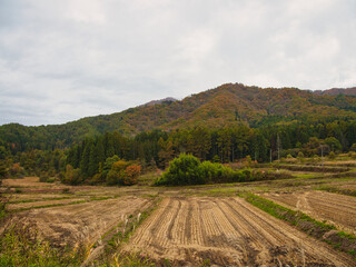 大内宿で見つけた紅葉