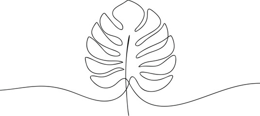Single line drawing of a monstera leaf plant tropical