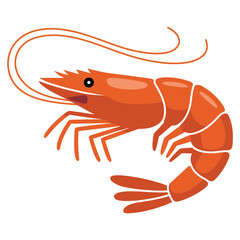 shrimp on white background