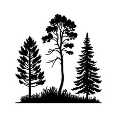 Obraz premium Black and White Silhouette of Coniferous Trees on Grass Mound for Nature Illustrations