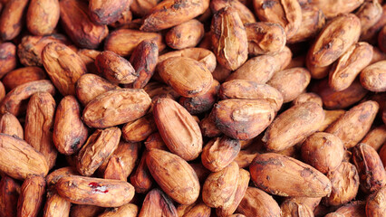 closeup of fermented and dried cocoa beans 