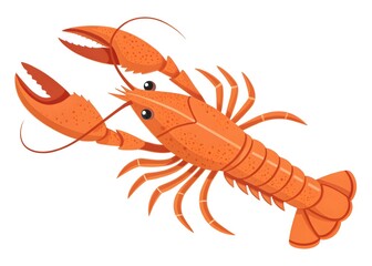 Vibrant Orange Lobster Illustration on White Background