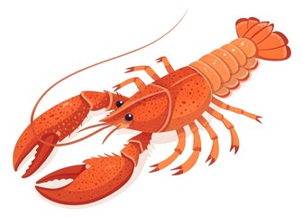  Vibrant Orange Lobster Illustration on White Background