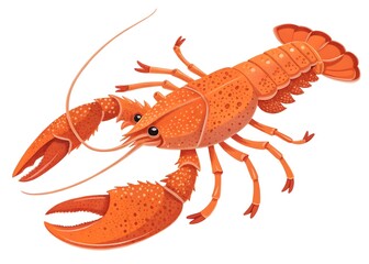 Vibrant Orange Lobster Illustration on White Background