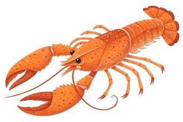 Vibrant Orange Lobster Illustration on White Background