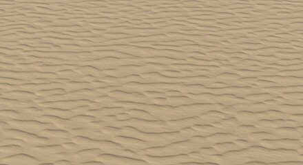 Obraz premium Rippled tan sand stretches across the view textured by shadows
