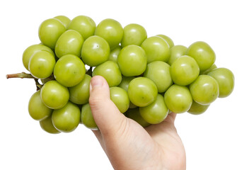 A hand holding a bunch of green grapes