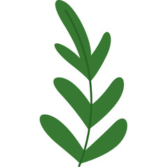Simple Cartoon Green Leaf Branch on Transparent Background for Nature Design Elements