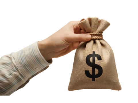 Hand holding money bag isolated on transparent background