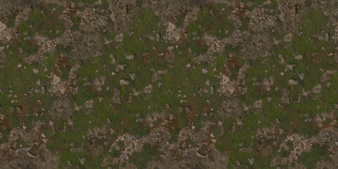 Detailed Overgrown Ground Texture with Rocks and Plants Outdoor Natural Terrain