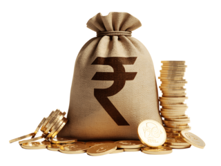 Bag of indian rupees isolated on transparent background