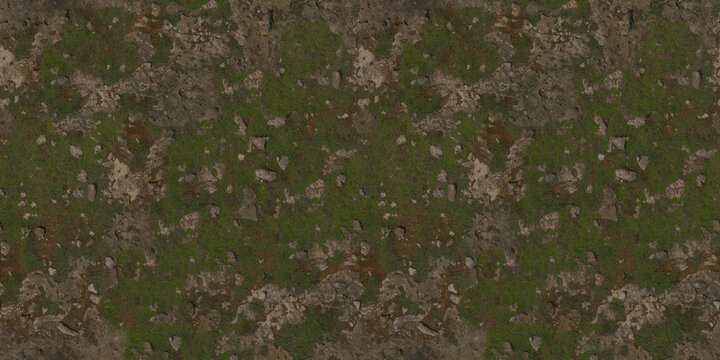 Detailed Overgrown Ground Texture with Rocks and Plants Outdoor Natural Terrain