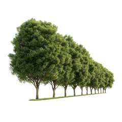 Row of Green Trees on Transparent Background