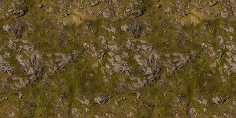 Natural Aerial Rock and Grass Ground Texture Seamless Repeatable Surface