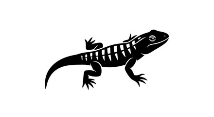 Fototapeta premium Black lizard silhouette with transparent background