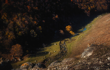 Scenic autumn valley view with river, rocky terrain, colorful foliage, and bright sky in a natural landscape