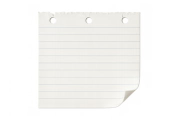 Lined notebook paper blank sheet with ripped edge, hole punches, and curled corner, having transparent background