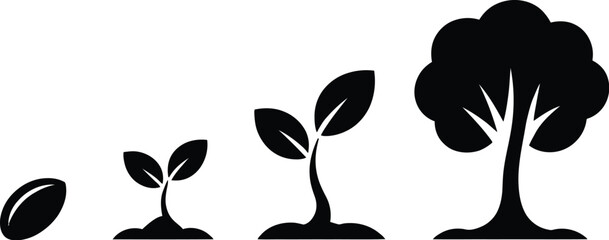 Plant growth stages silhouette isolated on white background