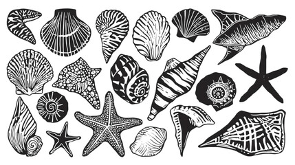 Black and White Illustration of Various Seashells and Starfish