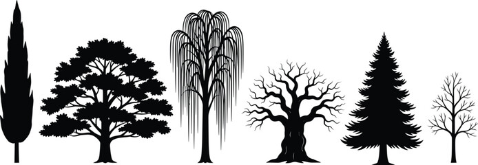 Tree silhouette collection, cypress, oak, willow, winter tree, pine, deciduous, forest elements, nature shapes, botanical design, landscape art
