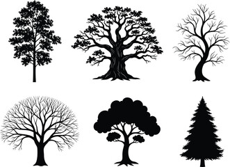 Tree silhouette set, oak tree, pine tree, winter branches, foliage shapes, forest design, nature icons, botanical art, landscape elements