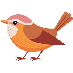 Stylized illustration of a small bird with orange and brown plumage pink cap and white chest on a transparent background