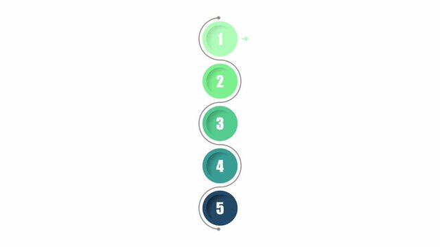 animated video of business infographics  multi color circle label  5 steps for workflow, presentation, 4k animation