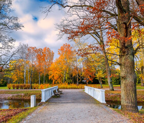 Late autumn in old public park, walking pedestrian bridge and footpaths alleys among golden color trees, cloudy day