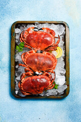 Steaming boiled crab on ice in a metal tray. On a stone background. Close-up.