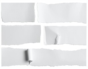 Torn white paper pieces, textured edges, curled bits