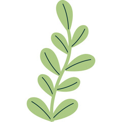 Simple green leafy plant stem illustration with a minimalist design and transparent background