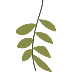 Simple green olive branch with leaves on a transparent background vector illustration