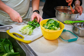 Hands of two men cutting bok choy and mixing minced meat, preparing to make dumplings on the kitchen table.