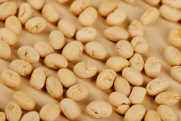 Crispy Dry-Fried Soybean Snacks from Guizhou Province China - Traditional Asian Food Photography