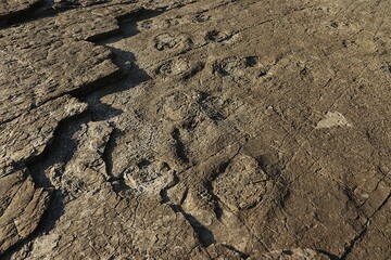 Dinosaur Footprints Sequence on Rock Surface