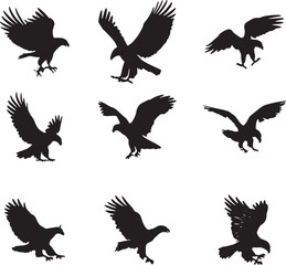 Collection of Eagle Silhouettes in Flight and Landing Poses