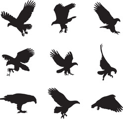 Collection of Eagle Silhouettes in Flight Keywords: eagle, bird, silhouette, flying, wings
