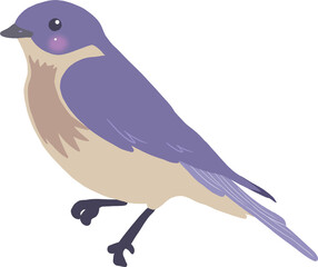 Obraz premium 파랑새